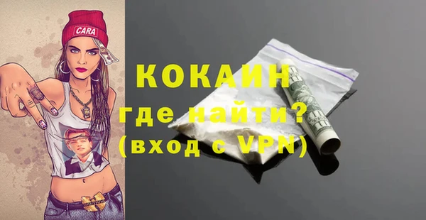 шишки Бронницы