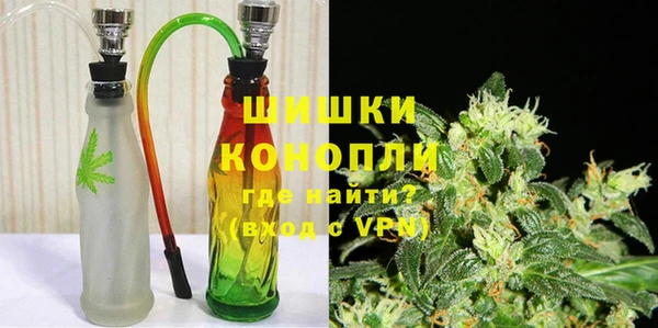 шишки Бронницы